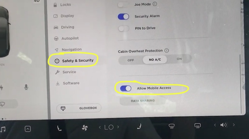 allow mobile access on Tesla app